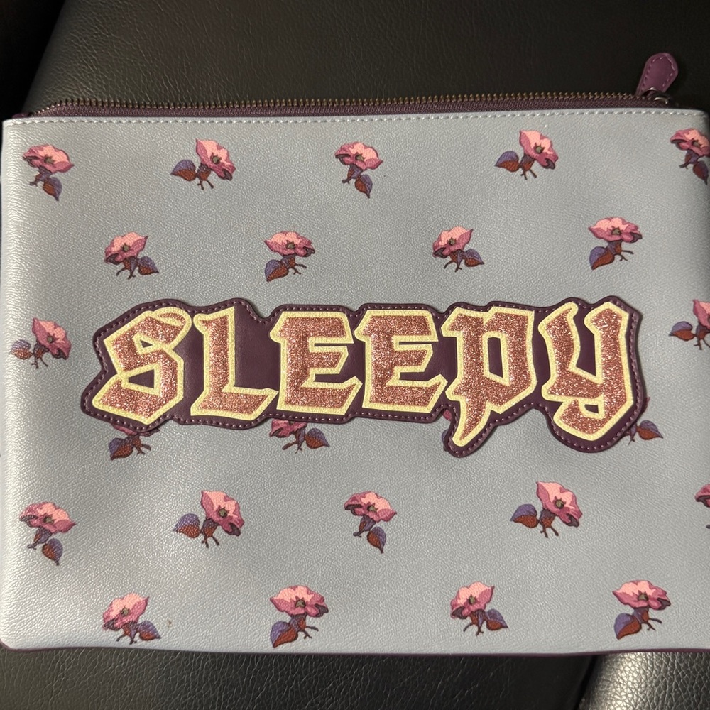 CoachxDisney pouch